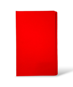 FOLDER CARTON C/BOLSILLO DELLO OF 100UND IRIS