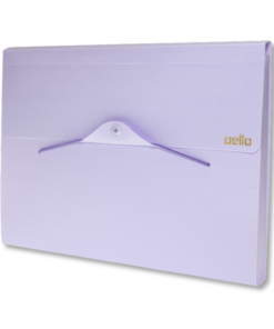FOLDER ACORDEON DELLO SERENA A4 12DIV 6096
