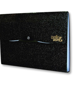 FOLDER ACORDEON DELLO SECRETS C/12DIV.6091W-P-AU