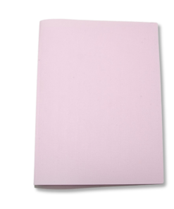 ARCHIVADOR RAPIDO OFICIO 100UD+NEPACO PLAST DELLO