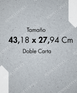 CARTON PRENSADO GRIS #8-9-10 DOBLE CARTA