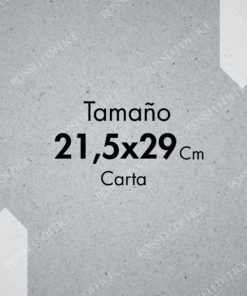 CARTON PRENSADO GRIS #8-9-10 CARTA 21.5X29CM