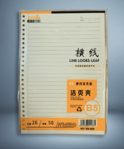 HOJAS PARA CUADERNO INFINITO B5 132302-2