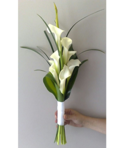 ROSAS CARTUCHOS 6UND