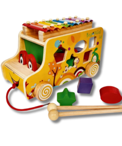 AUTOBUS C/XILOFONO C/ENCAJE BOLIVIA MAR