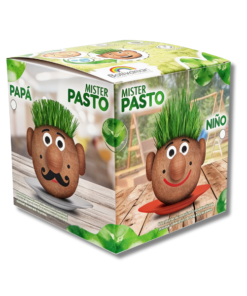 PASTO MISTER PASTO VARON MUJER BOLIVIAMAR